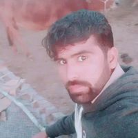 shahbram41.3r
