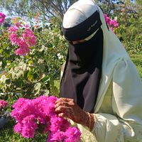 original sound - حمیدہ بی