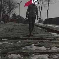 الصوت الأصلي