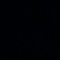 Nguyễn Tài Chính