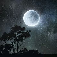 moonaja159