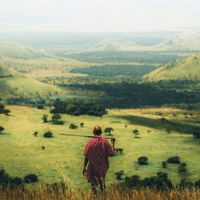 EMPURKOI DALLAS GROUP