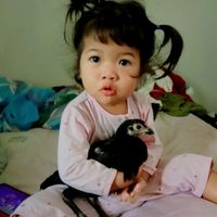 เสียงต้นฉบับ - กํานัน เสือ