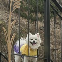 오리지널 사운드 - 아롱이 TV