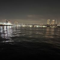 オリジナル楽曲 - 笹の葉
