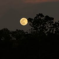 lunaimxo