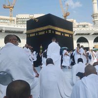 awad_yahya