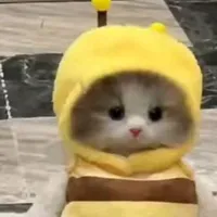 original sound - atom908