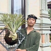 bli__guun