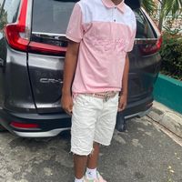 lov3_algx