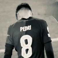 fanz_pedri2