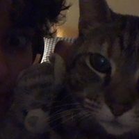 löded diper