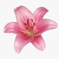 original sound - kathnielinthefuture