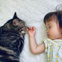 neko_neko_family