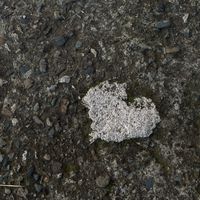 lorenist_lyrics