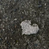 original sound - lorenist_lyrics