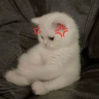 សំឡេងដើម - 9A