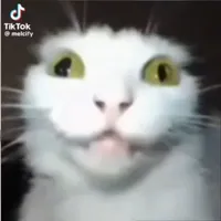 original sound - lyricss_badbunny