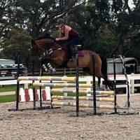 graceequestrian24