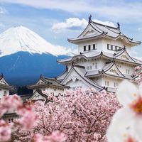 dreamjapan39