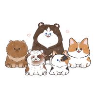 namkhaengishusky