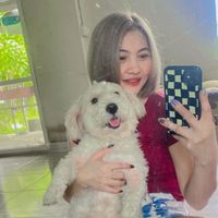 koy252729