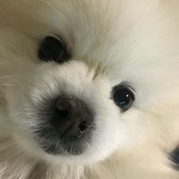busan_pubgm