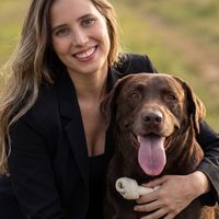 meg_labradorretriever
