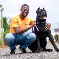 original sound - ghdogblogger