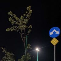 li2_94