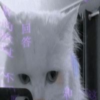 suara asli - eha