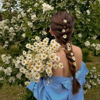 sevara_11o5
