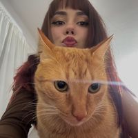 cloudwink_