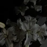 original sound - 04____s9