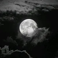 original sound - nycto_livana