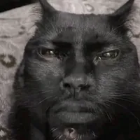 original sound - vickweird