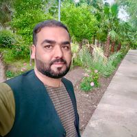 habibhabib794