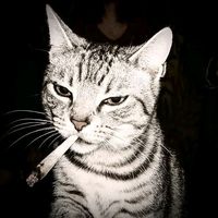 suara asli - domzwory