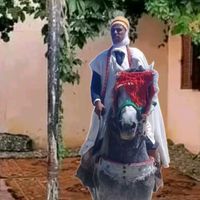 mohamed_hamiche