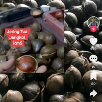 original sound - younus