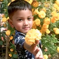 jobaeid206