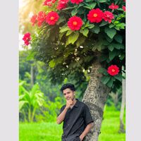 tanvir660066