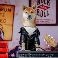 hoshi_theshiba