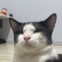 suara asli - Min'na🤙🏻