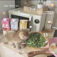 เสียงต้นฉบับ - ตะเล็ก’กชอบกินชาเชียว🌱