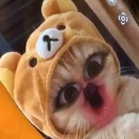 オリジナル曲