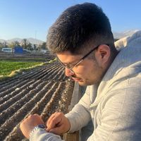paolo.perea