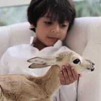 الصوت الأصلي