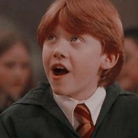 __harrypotterstories__
