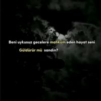 papatya.s3